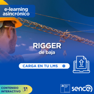 Curso Técnicas de izaje (RIGGER)
